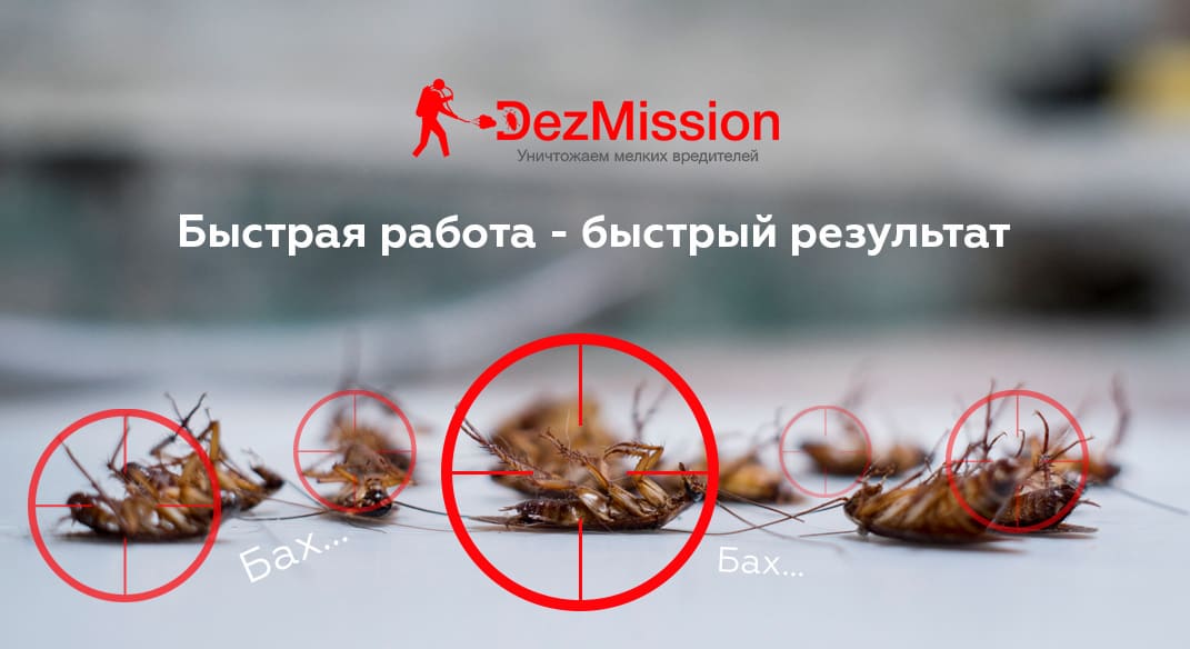 Реклама сайта Dezmission.ru